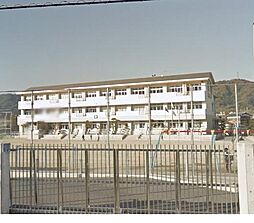 伊都郡かつらぎ町佐野・土地・125188