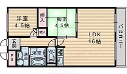 グレースフルハイツ1号館 1階/-