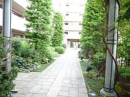 6 / 15