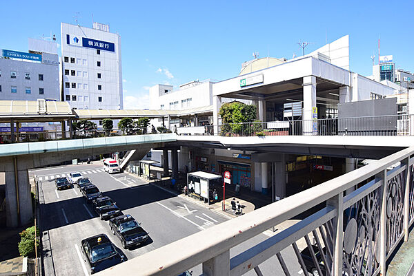 周辺を拡大表示