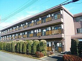 東京都立川市柏町３丁目（賃貸マンション1K・2階・19.67㎡） その1