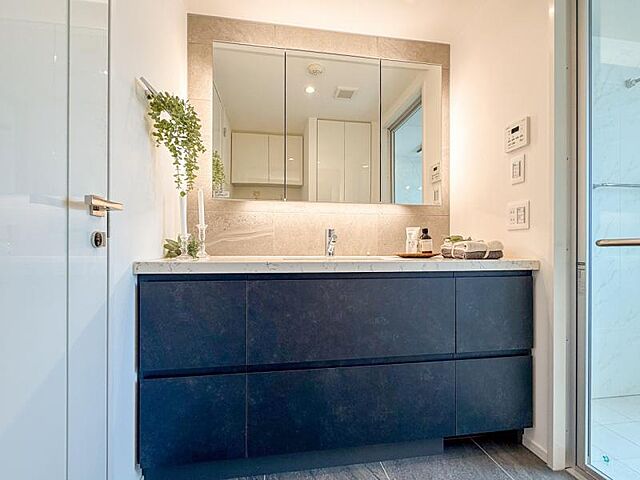 洗面 ザ六本木東京クラブレジデンス 30階/-