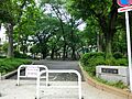 清花公園？54...