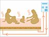 設備：足元から「ふく射」「熱伝導」「自然対流」を組み合わせて、じんわりとしっかりとお部屋全体をムラなく均一に暖めます。風を起こさないため温風による乾燥がなく、さらにアレルギーの一因となるホコリなども舞い上が