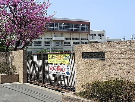 川口市立青木北小学校（442m）
