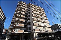 大阪府東大阪市友井5丁目：物件画像／ちんたいぷらざ　タートルハウス