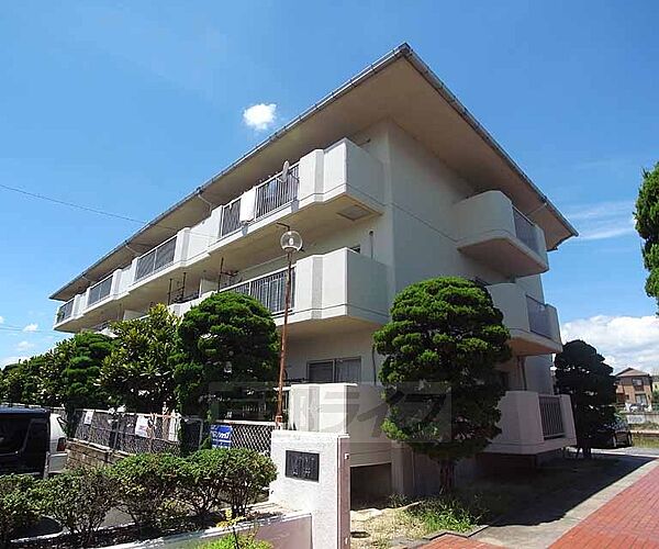 京都府京都市伏見区深草大亀谷大山町(賃貸マンション3LDK・1階・63.25㎡)の写真 その1