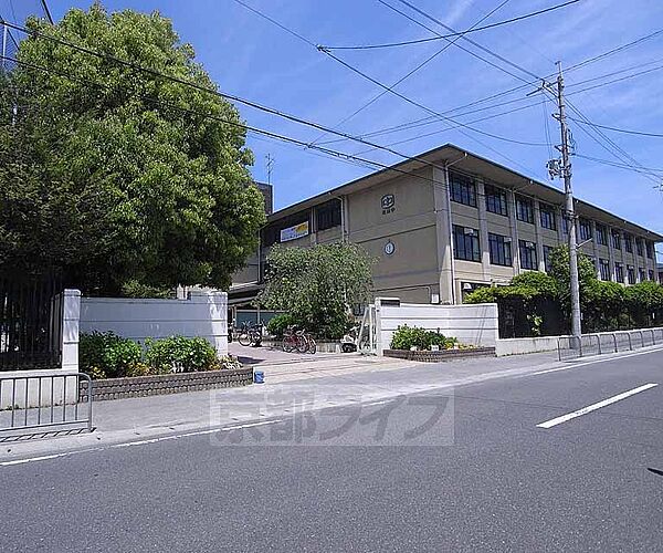 画像29:松尾中学校まで375m 桂川沿いの大きな中学校です。