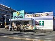 ウェルパーク東武練馬店
