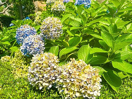 ご不明な点や気になる点など、お気軽にお問い合わせください。〜365日年中無休(原則即日対応。深夜・早朝除く。)〜2026/7/16撮影