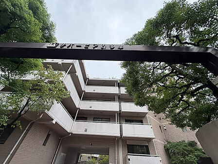 現在建築中の為、現地と併せて同仕様の完成物件もご案内可能です。リノベ―ション後のイメージを体感いただけます。送迎も承ります。