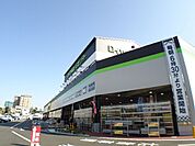 ダイワロイヤルホームセンターまで１分（８１ｍ）