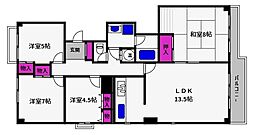 メゾン白鶴 10階/-