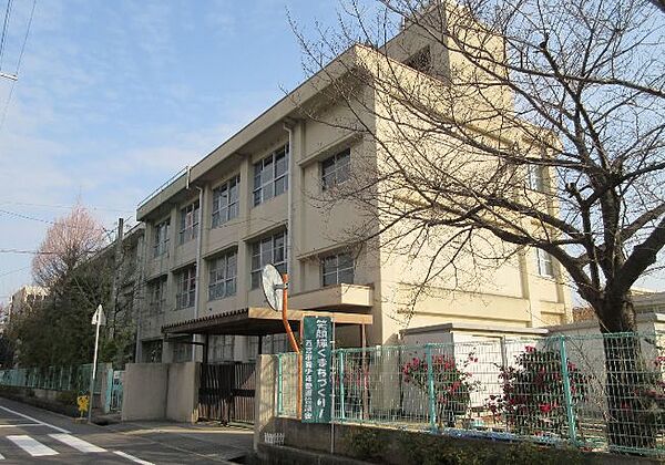 兵庫県西宮市常磐町(賃貸マンション2LDK・4階・50.56㎡)の写真 その14