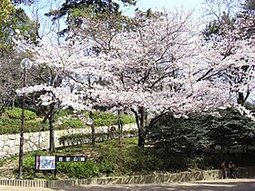 ノベラ西宮江上町 302 ｜ 兵庫県西宮市江上町（賃貸マンション1R・3階・30.00㎡） その20