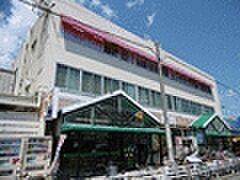 兵庫県西宮市里中町1丁目8-21（賃貸アパート1LDK・2階・28.47㎡） その19