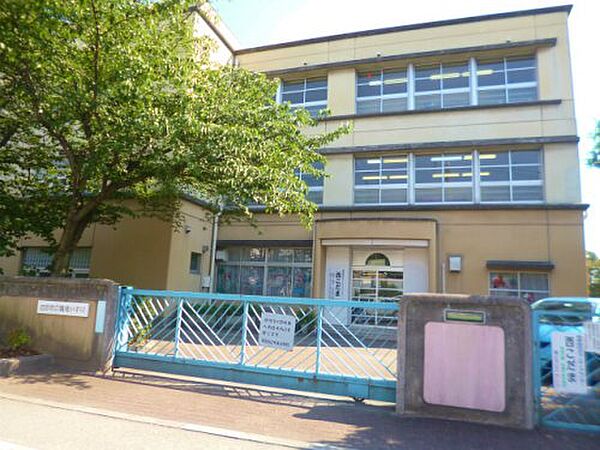 画像16:【小学校】西宮市立鳴尾小学校まで493ｍ