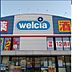 周辺：ウエルシア小田原国府津店 徒歩11分。 870m
