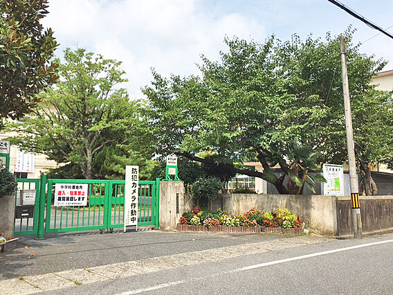 大津市立皇子山...