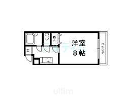 パルティール五条 4階/-