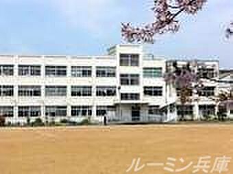 画像26:神戸市立垂水小学校 219m