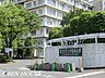 周辺：聖マリアンナ医科大学病院 徒歩11分。 880m