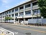 周辺：川崎市立稲田中学校 徒歩24分。 1920m