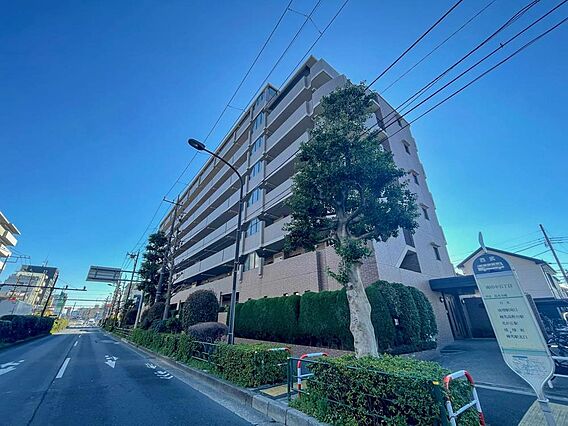 ここに住むから...