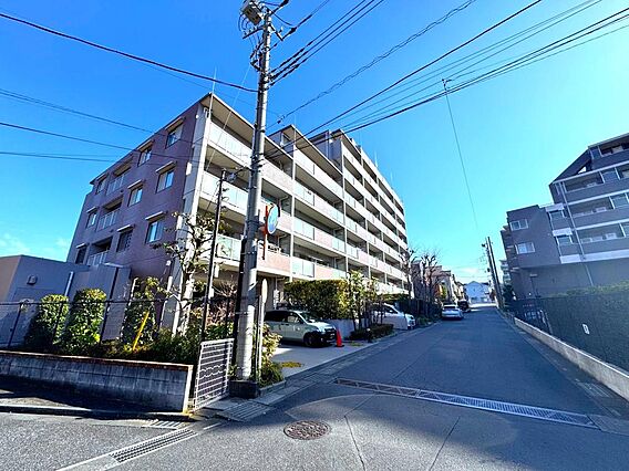 これまでの経験...