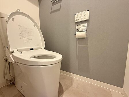 使用後すぐに手を洗うことができ、衛生的なトイレです。