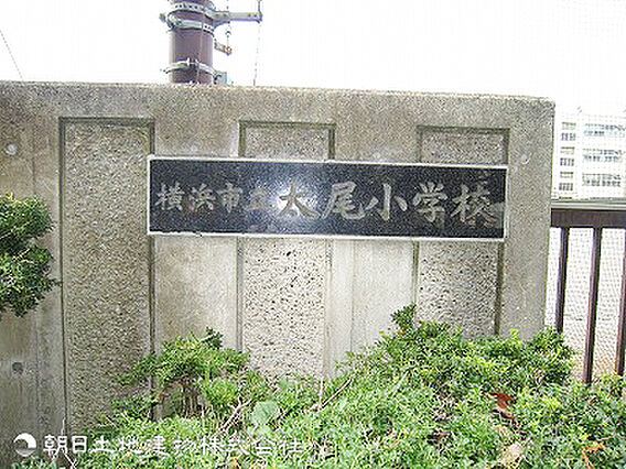 横浜市立太尾小...