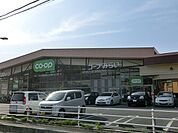 コープ新所沢店 300m