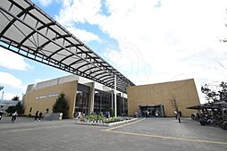 Passaro Grande 墨江 EAST