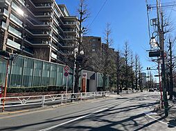 日赤通り