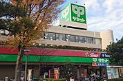 サミットストアシーアイハイツ和光店(334m)