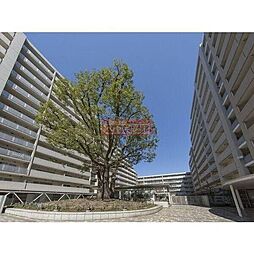 シティコート目黒4号棟