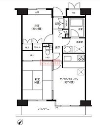ステラメゾン武蔵小山 2DKの間取図画像