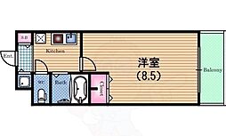 アネシス河合 6階/-