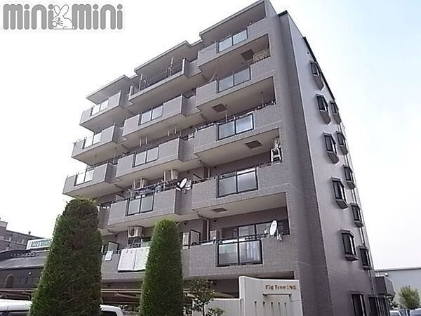 ＦｉｇＴｒｅｅ2号館 401｜兵庫県西宮市薬師町(賃貸マンション3LDK・4階・77.00㎡)の写真 その1