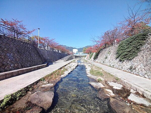 画像9:都賀川公園