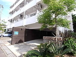 パラディッソコート