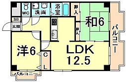 アストリアセブン 4階2LDKの間取り