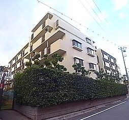 3 / 11