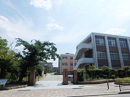 京都市立藤森中学校 約700m 徒歩約10分