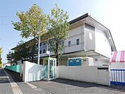 佐賀市立新栄小学校(850m)
