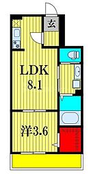 JR常磐線 新松戸駅 徒歩11分の賃貸アパート 1階1LDKの間取り