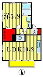 JR常磐線 松戸駅 徒歩12分の賃貸アパート 1階1LDKの間取り