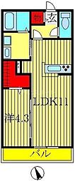 サンフローラ・エフ 1LDKの間取図画像