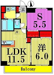 コンフォース堀切 6階1SLDKの間取り