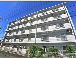 綾瀬ファイナンス